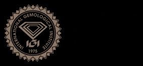 IGI lab logo